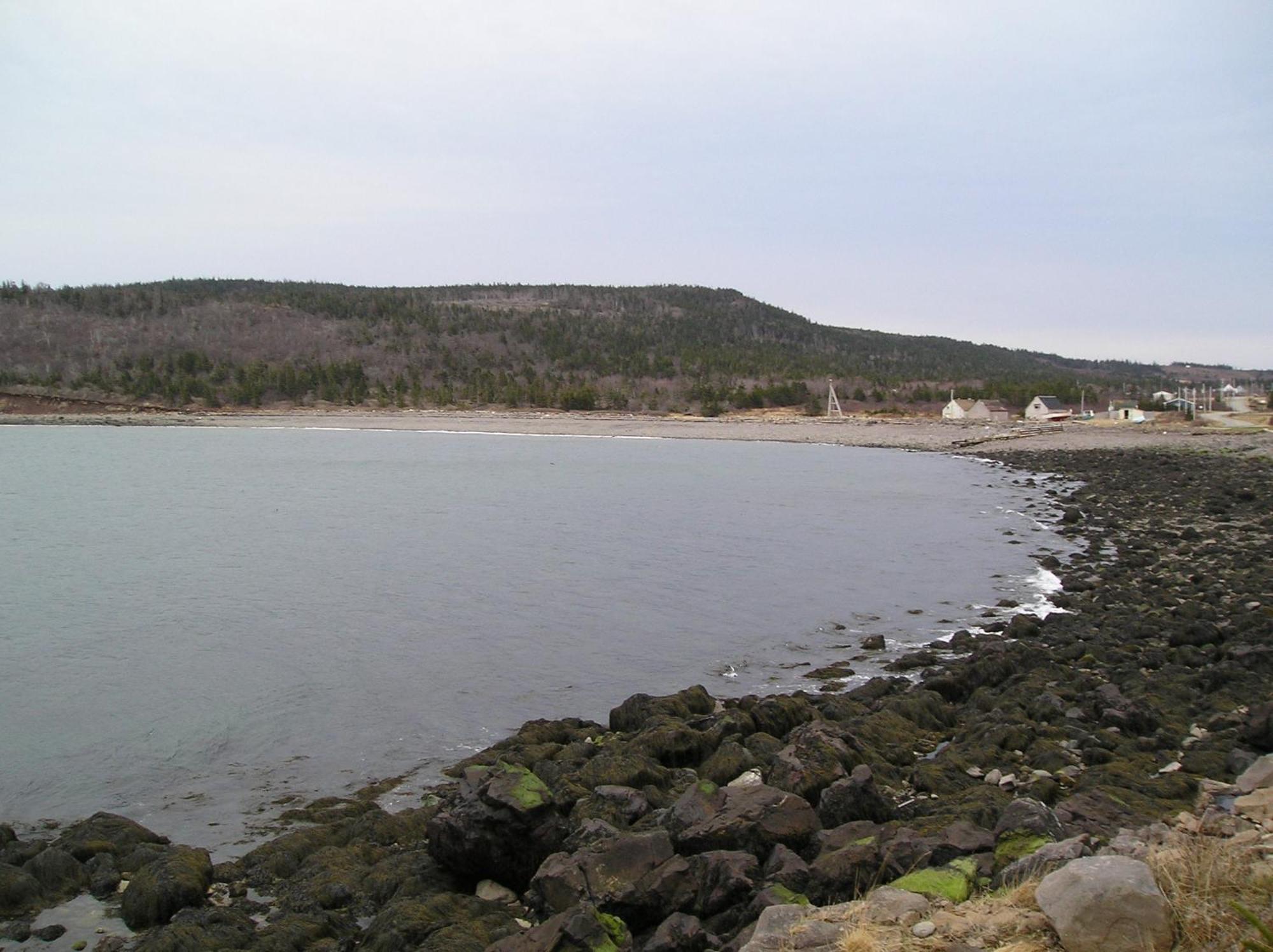 Gulliver'S Cove Oceanview Cottages Gullivers Cove Exteriör bild